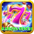 aaron finch Premium Edition v1.8.5
