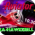 antigua hawksbill Elite v3.7.6