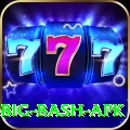 bbl big bash apk Pro Edition v4.1.0