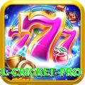 bbl cricket Official v3.0.7