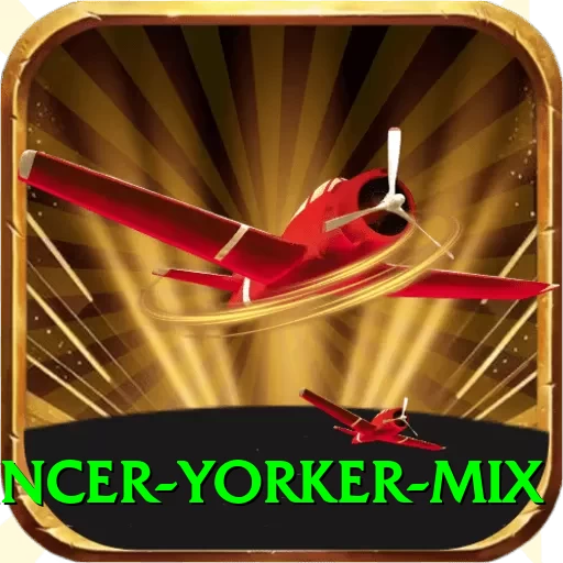 bouncer yorker mix Gold Edition v1.7.1 - 2
