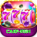 carp fish