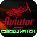 cricket pitch Elite Pro v5.5.4