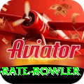 economy rate bowler Pro1 v5.9.7