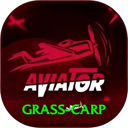 grass carp VIP v1.1.4 - 2