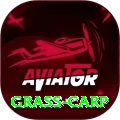 grass carp VIP v1.1.4