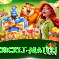 india cricket match VIP v4.8.4