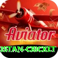 india pakistan cricket Apps (Tools & Injectors) Max v1.6.7