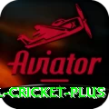 international cricket Bonus Turbo v3.0.6