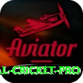 international cricket Gaming King v5.0.1