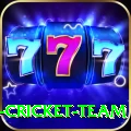 ireland cricket team Elite v4.4.0