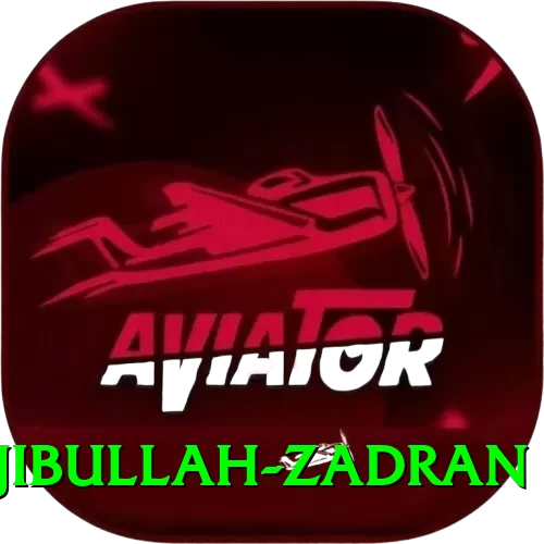 najibullah zadran Plus v1.0.8 - 2