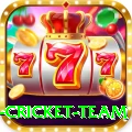 new zealand cricket team Games (Casino & Earning) Turbo v5.5.5