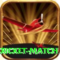 next cricket match Deluxe v2.2.6