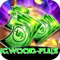 paul collingwood Game Deluxe v5.5.7