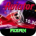 pkspin Gold Edition v1.0.7