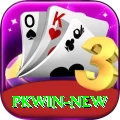 pkwin Apps (Tools & Injectors) Pro vv4.4.9