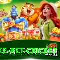 risk free bet cricket
