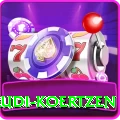 rudi koertzen Pro v5.5.9