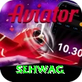 sehwag Apps (Tools & Injectors) VIP v1.3.6