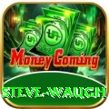 steve waugh VIP Edition v2.4.3