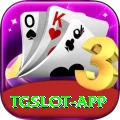 tgslot - Pro Edition v5.5.3