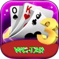 wc t20 Plus v4.0.4