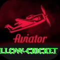 willow cricket Premium Plus v1.5.4
