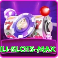 Winli Slots - Casino Champion